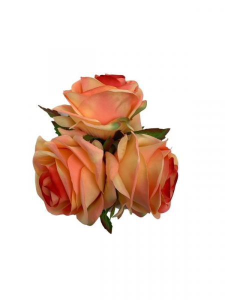 Róża główka 9 cm herbaciana