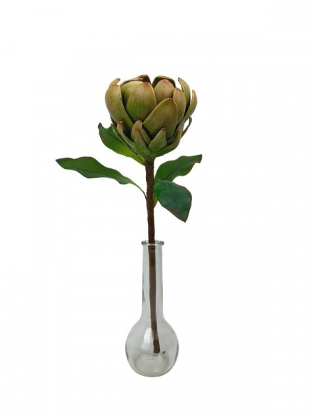 Protea kwiat pojedynczy 38 cm zielona