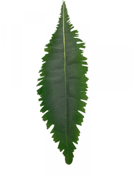 Liść 70 cm zielony