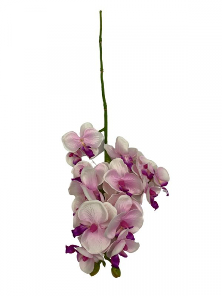 Storczyk kwiat pojedynczy 56 cm kremowo fioletowy