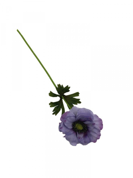 Anemon kwiat pojedynczy 36 cm fioletowy
