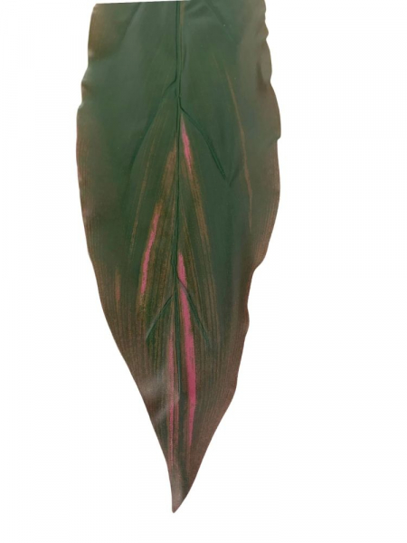 Liść 55 cm zielono fioletowy