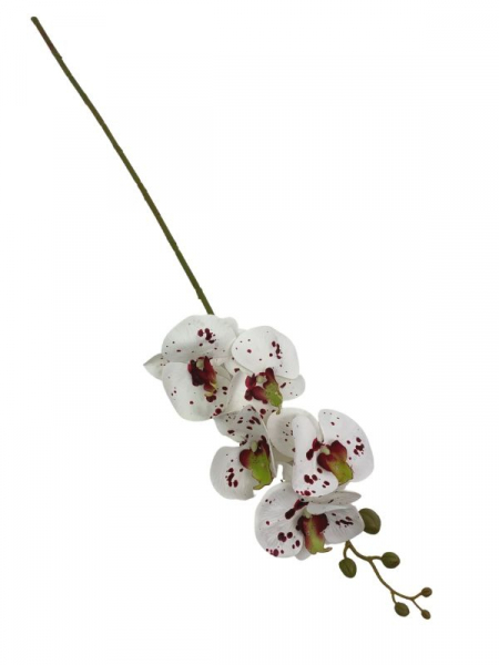 Storczyk kwiat pojedynczy 84 cm biały w bordowe kropki
