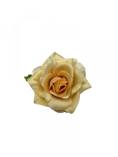 Róża główka 6 cm jasna brzoskwinia