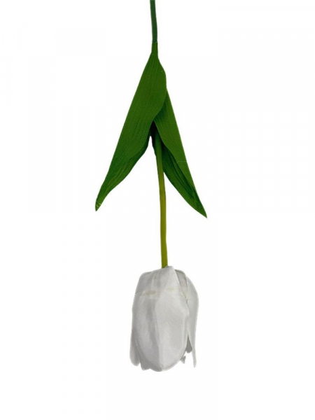 Tulipan 61 cm biały
