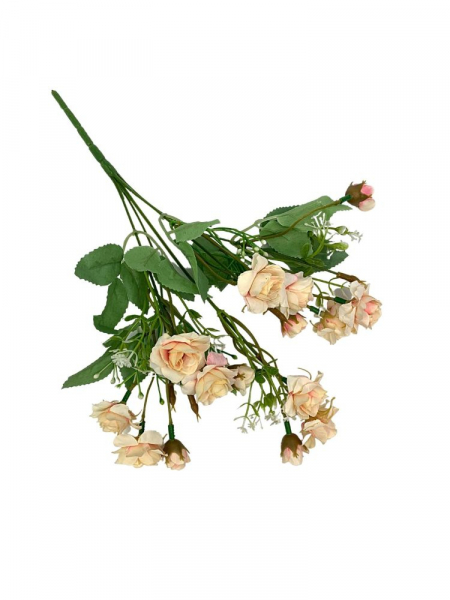 Róża bukiet 30 cm brzoskwiniowa