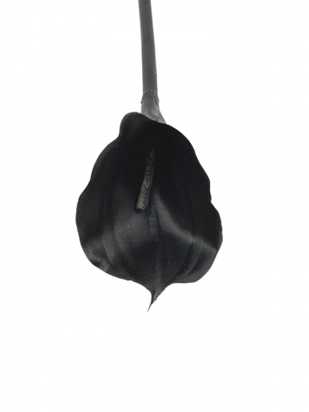 Kalia kwiat pojedynczy 68 cm czarna