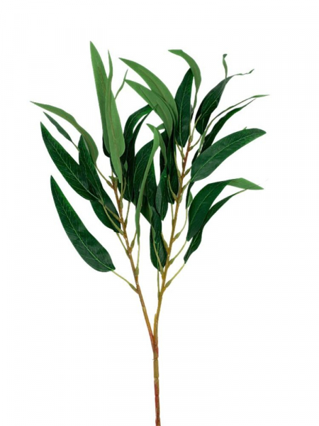 Liście oliwki gałązka 70 cm zielone