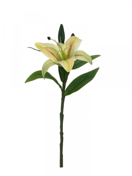 Lilia gałązka 35 cm cytrynowa