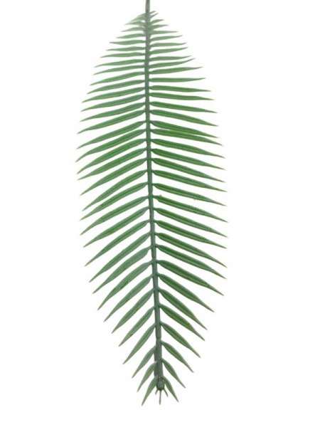 Cykas liść 48 cm jasno zielony
