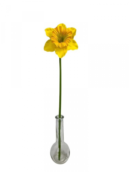 Żonkil kwiat pojedynczy 50 cm ciemno żółty