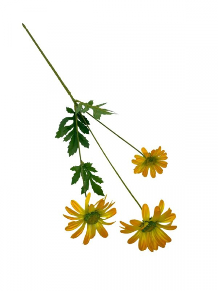 Margaretka kwiat pojedynczy 58 cm żółta