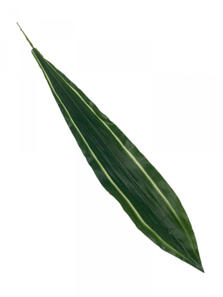 Dracena liść 53 cm zielony z kremowymi paskami