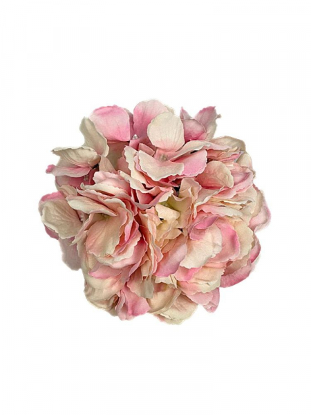 Hortensja główka XL 20 cm jasny róż z kremowym