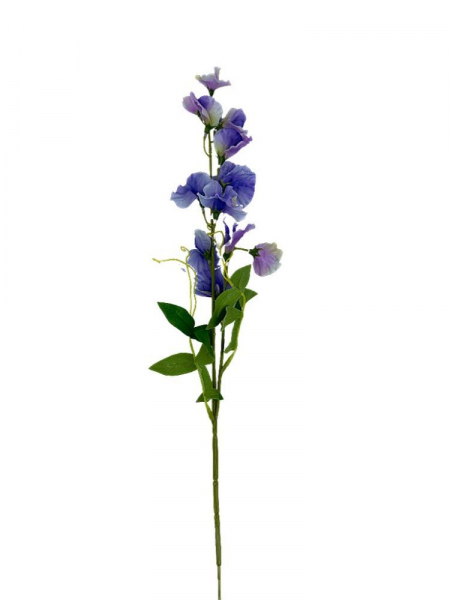 Groszek kwitnący gałązka 60 cm niebieski z fioletem