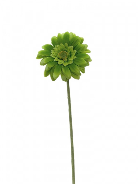 Gerbera kwiat pojedynczy 46 cm zielona