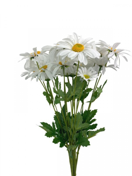 Margaretka kwiat pojedynczy 58 cm biała
