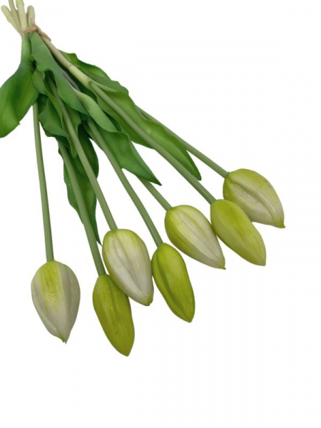 Tulipan silikonowy wiązka 45 cm kremowy zielony