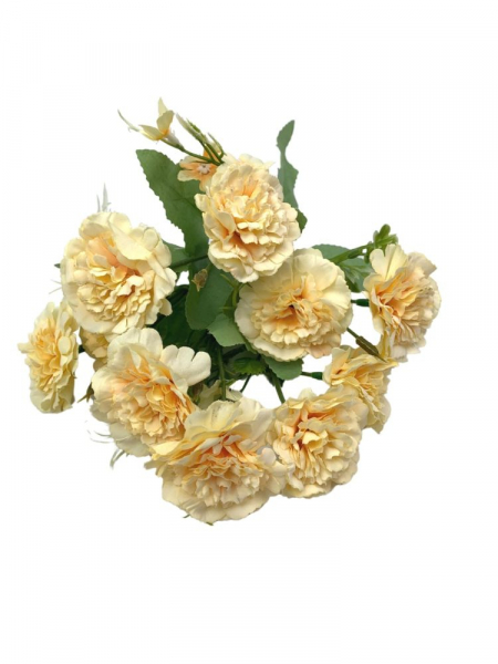Róża bukiet 30 cm jasno brzoskwiniowa