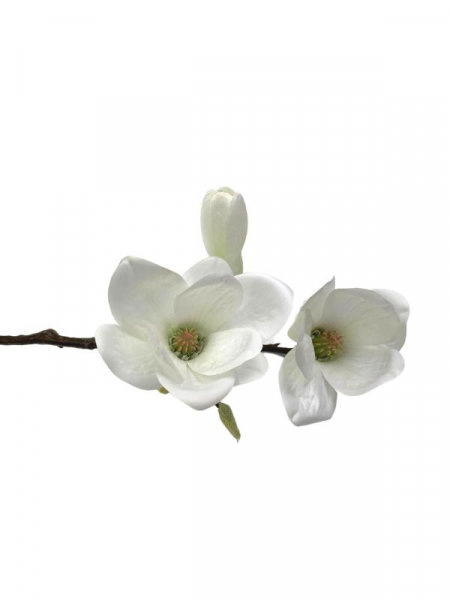 Magnolia gałązka 47 cm biała