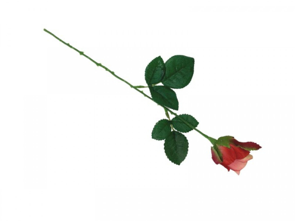 Róża kwiat pojedynczy 42 cm brzoskwiniowo różowa
