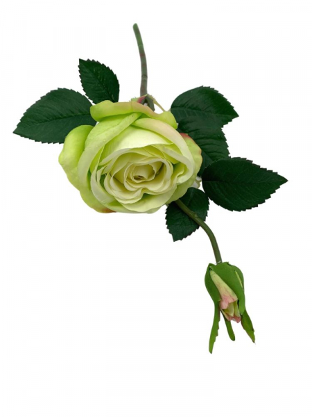 Róża kwiat pojedynczy 36 cm kremowy z jasną zielenią