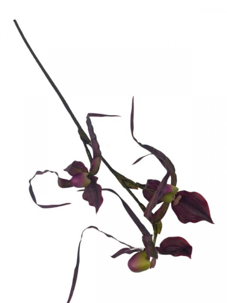 Orchidea kwiat pojedynczy 76 cm bordowa z zielenią
