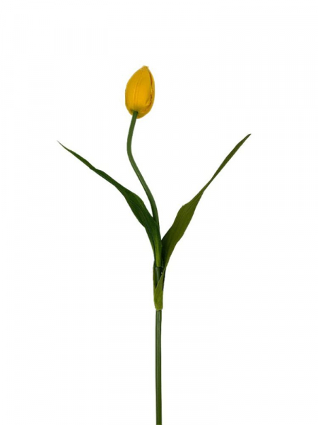 Tulipan kwiat pojedynczy 55 cm intensywnie żółty