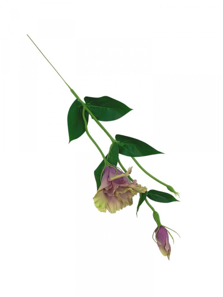 Eustoma gałązka 48 cm brudny fiolet z zielenią