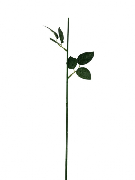 Łodyga do róży 60 cm