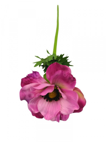Anemon pojedynczy 55 cm różowy