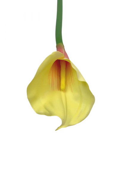 Kalia kwiat pojedynczy 71 cm żółto różowa