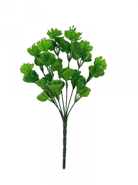 Bukiet sukulentów 30 cm zielony