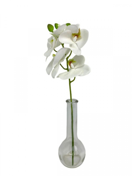 Storczyk kwiat pojedynczy 37 cm biały z zielonym środkiem