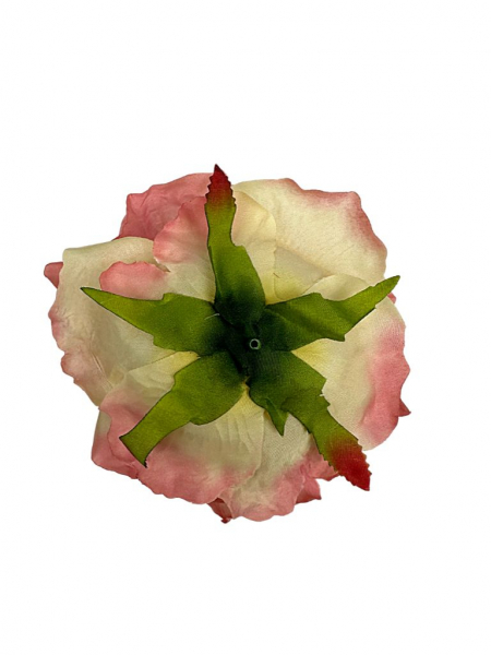Róża duża główka 15 cm pudrowy róż i beż