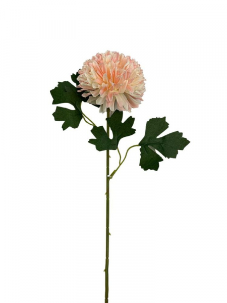 Chryzantema gałązka 50 cm pudrowy róż z kremem