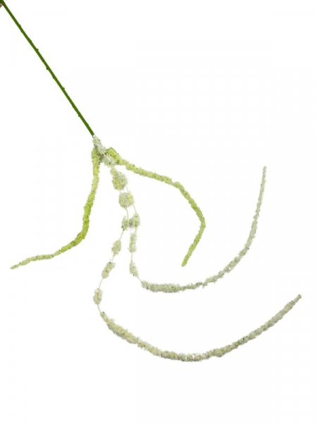 Amarantus szarłat 108 cm biały
