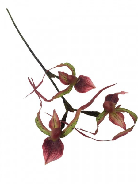 Orchidea kwiat pojedynczy 76 cm ciemno różowa z zielenią