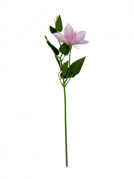 Klematis gałązka 48 cm jasny róż