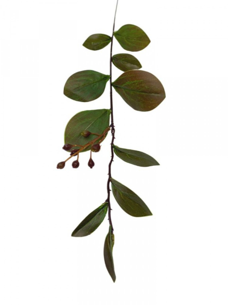 Mirt krepowy gałązka 53 cm zielono brązowy