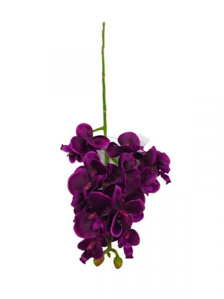 Storczyk kwiat pojedynczy 56 cm purpurowy