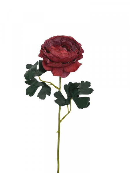 Pełnik kwiat pojedynczy 54 cm czerwony