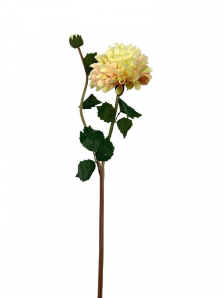Dalia gałązka 70 cm jasno żółta z jasnym różem