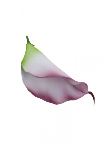 Kalia kwiat wyrobowy 18 cm kremowo różowa