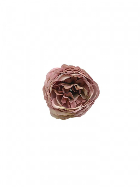 Piwonia mini główka 6 cm brudny róż