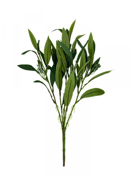 Oleander bukiet liści 48 cm zielony
