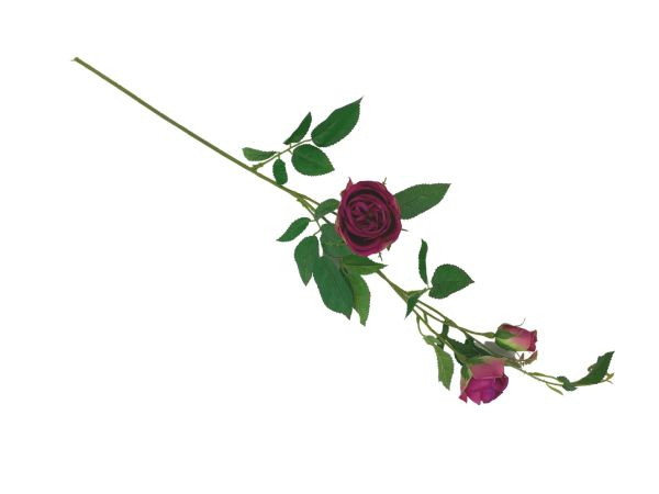 Róża gałązka 70 cm fuksja