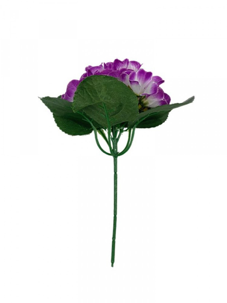 Fiołek (prymulka) bukiet 20 cm biało fioletowy