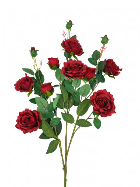 Róża gałąź wielokwiatowa 105 cm czerwona