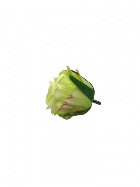 Róża główka 6 cm zielona